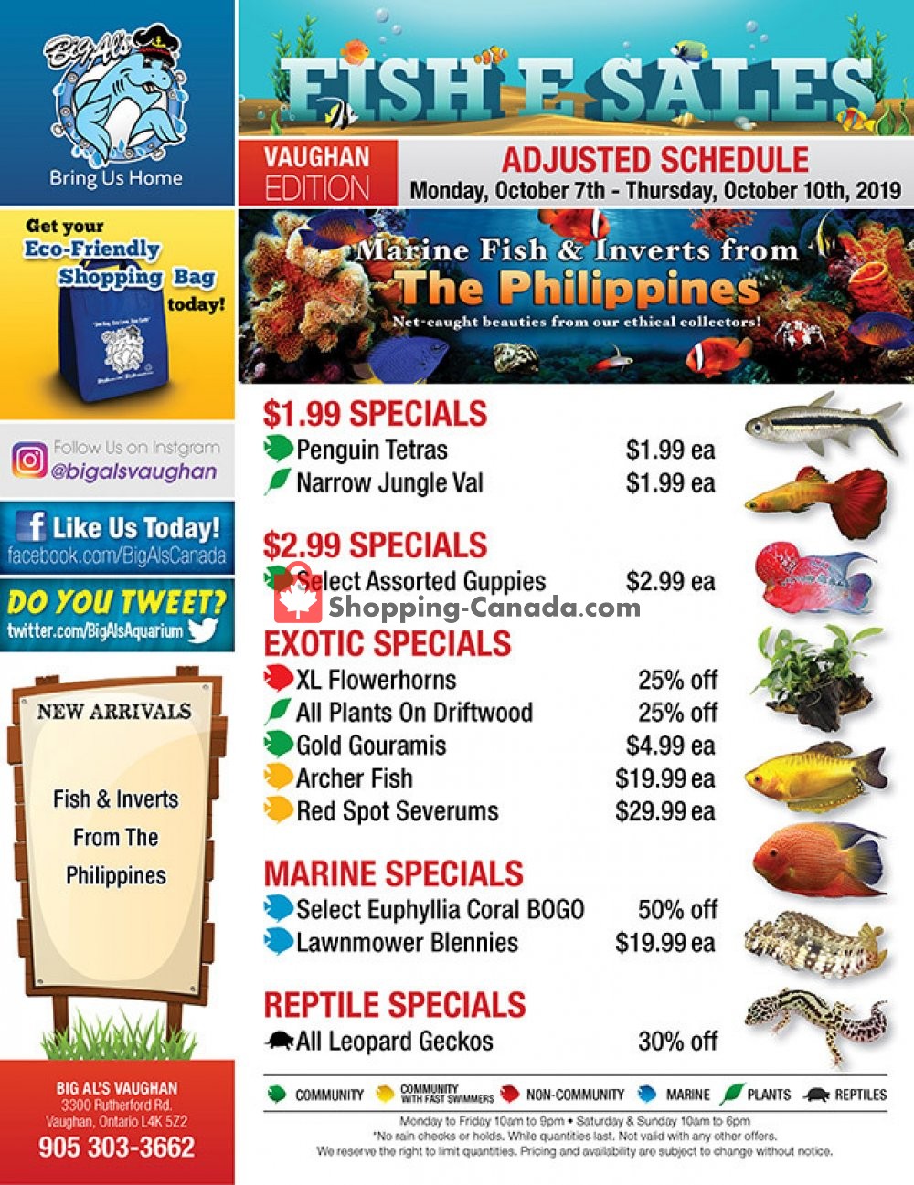 Big Al's flyer from Monday October 7, 2019 to Thursday October 10, 2019 - page 1