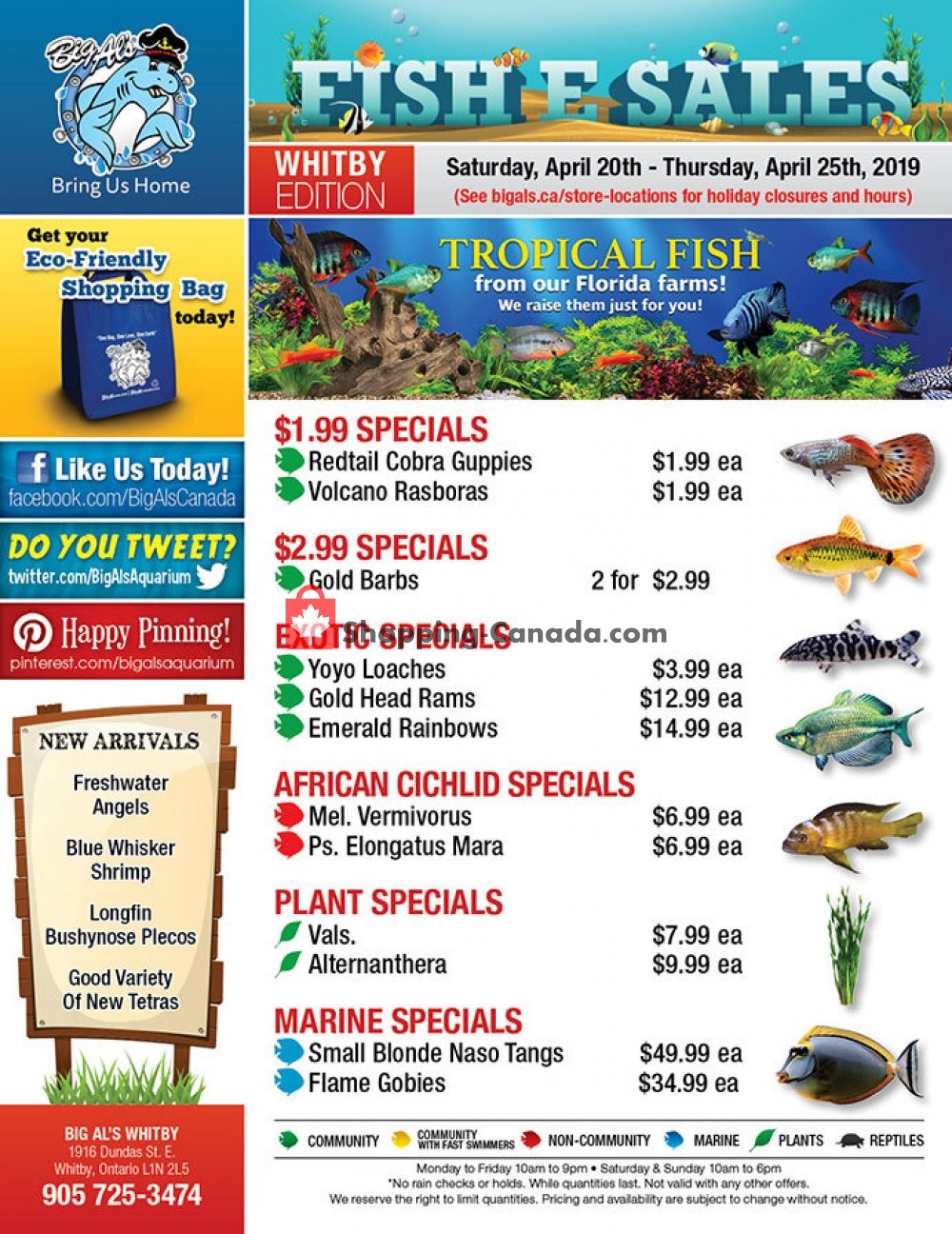 Big Al's flyer from Saturday April 20, 2019 to Thursday April 25, 2019 - page 1