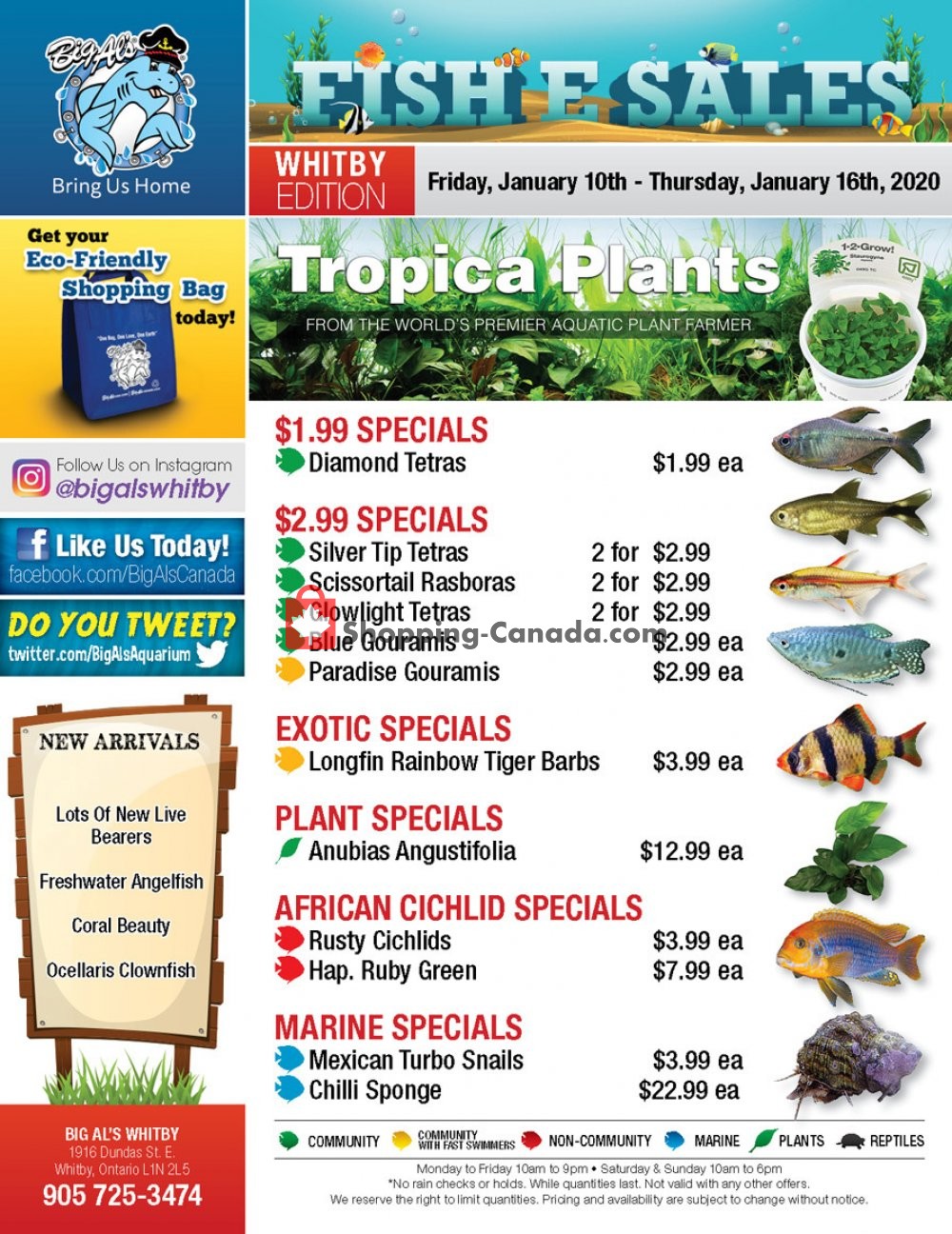 Big Al's flyer from Friday January 10, 2020 to Thursday January 16, 2020 - page 1