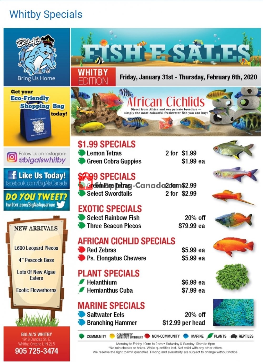 Big Al's flyer from Friday January 31, 2020 to Thursday February 6, 2020 - page 1