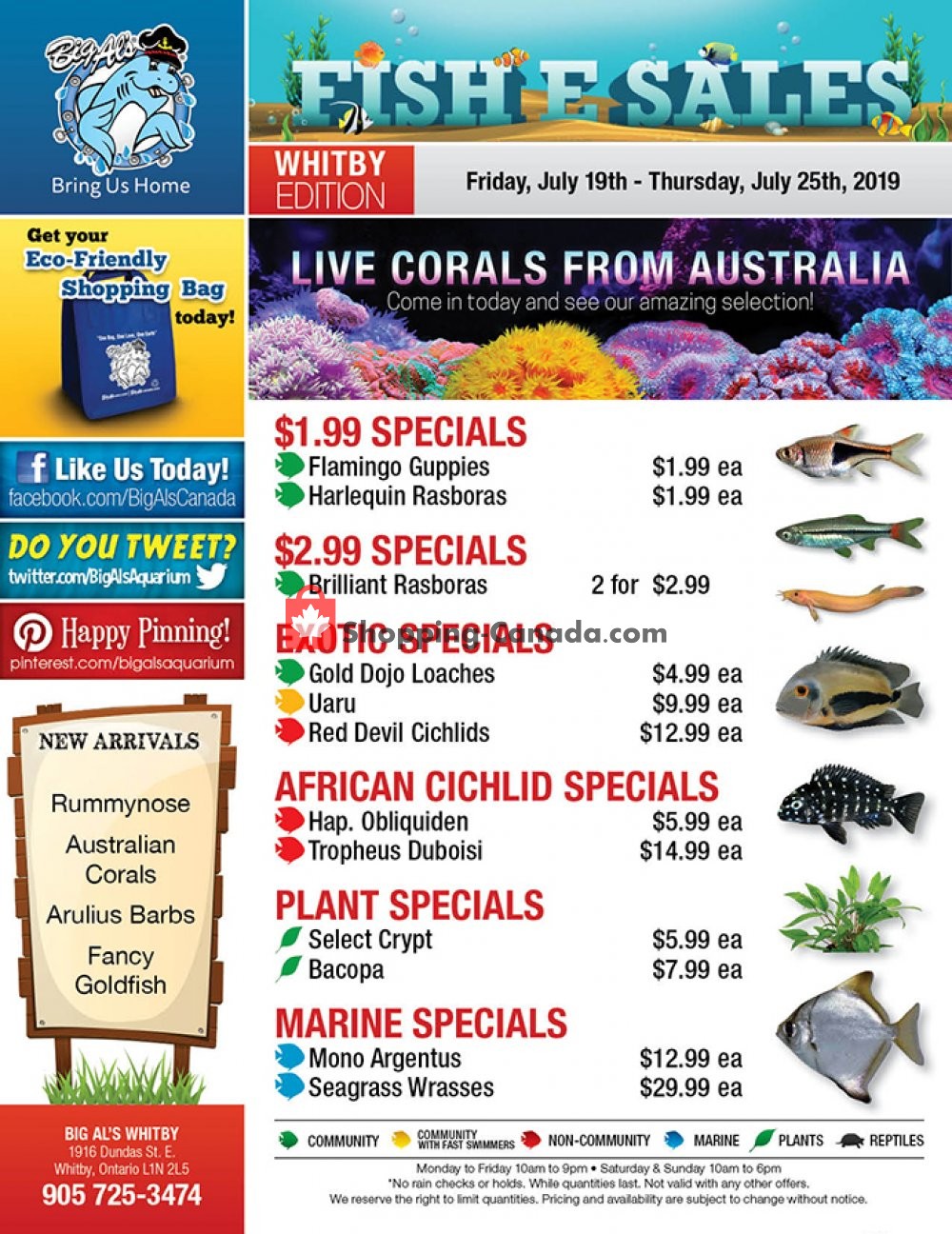 Big Al's flyer from Friday July 19, 2019 to Thursday July 25, 2019 - page 1