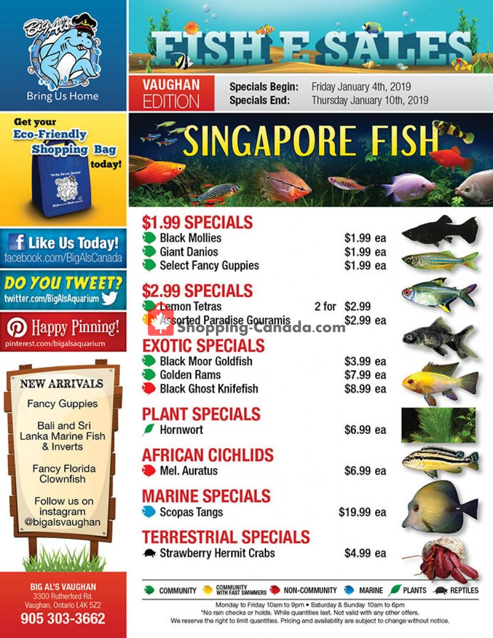 Big Al's flyer from Friday January 4, 2019 to Thursday January 10, 2019 - page 1