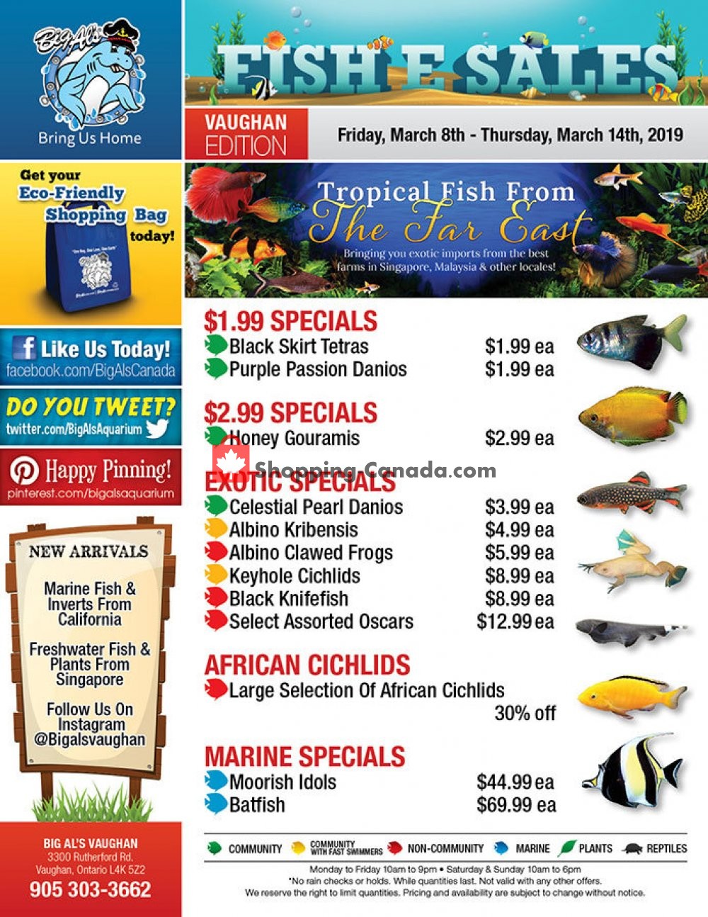 Big Al's flyer from Friday March 8, 2019 to Thursday March 14, 2019 - page 1