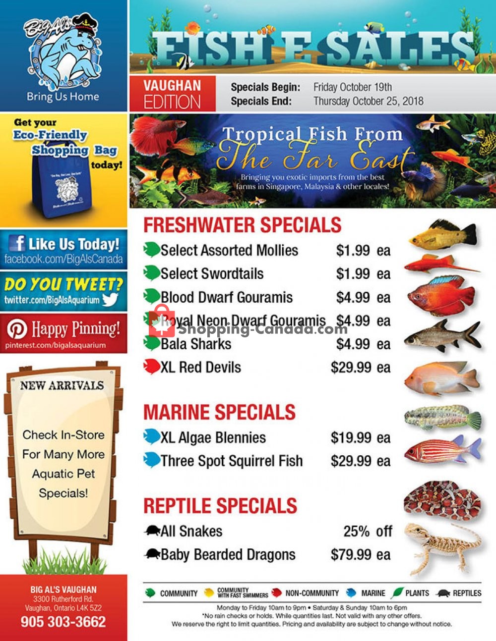 Big Al's flyer from Friday October 19, 2018 to Thursday October 25, 2018 - page 1