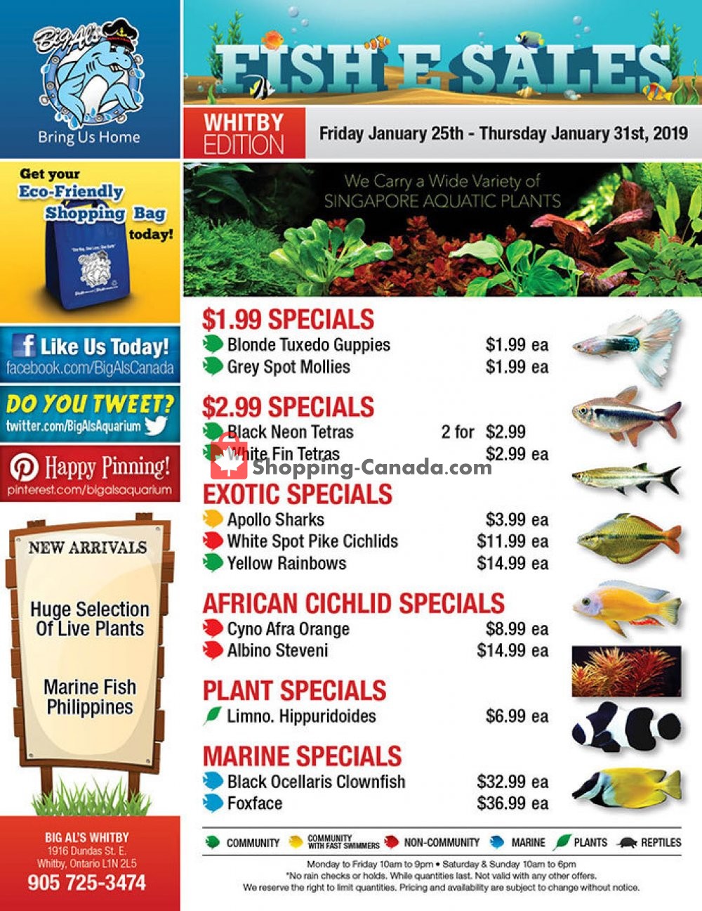 Big Al's flyer from Friday January 25, 2019 to Thursday January 31, 2019 - page 1