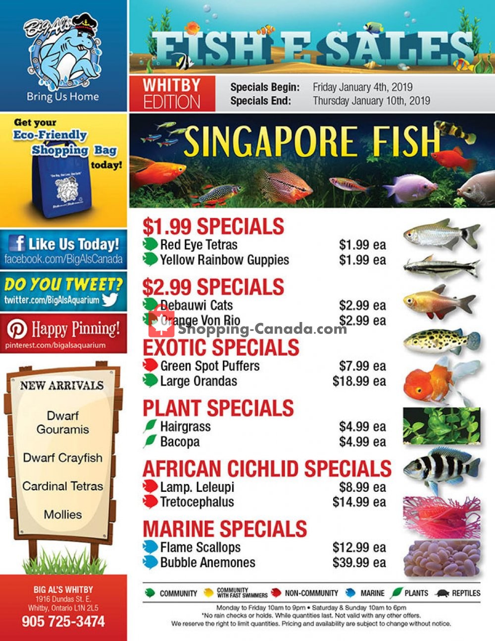 Big Al's flyer from Friday January 4, 2019 to Thursday January 10, 2019 - page 1