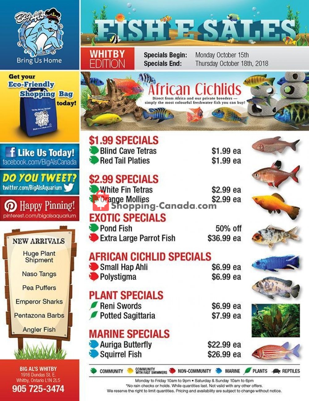 Big Al's flyer from Monday October 15, 2018 to Thursday October 18, 2018 - page 1