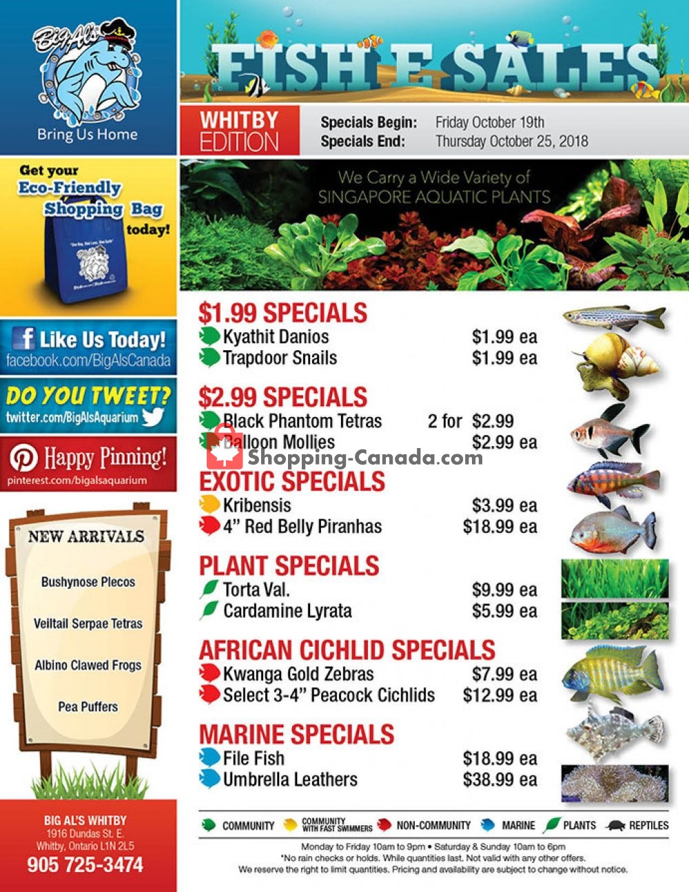 Big Al's flyer from Friday October 19, 2018 to Thursday October 25, 2018 - page 1