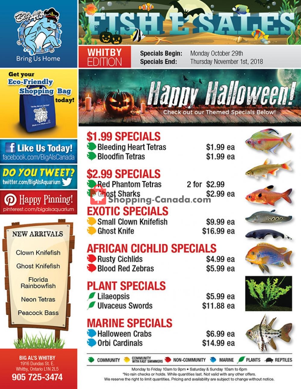 Big Al's flyer from Monday October 29, 2018 to Thursday November 1, 2018 - page 1