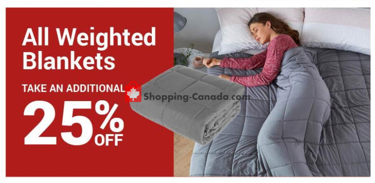 Big Box Outlet Store flyer from Wednesday December 4, 2024 to Sunday December 15, 2024 - page 10