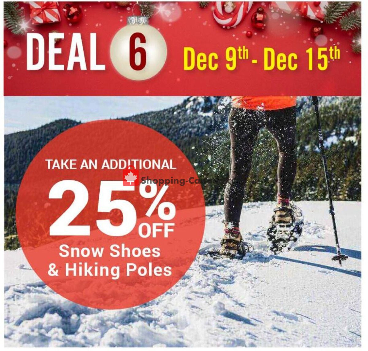 Big Box Outlet Store flyer from Wednesday December 4, 2024 to Sunday December 15, 2024 - page 5