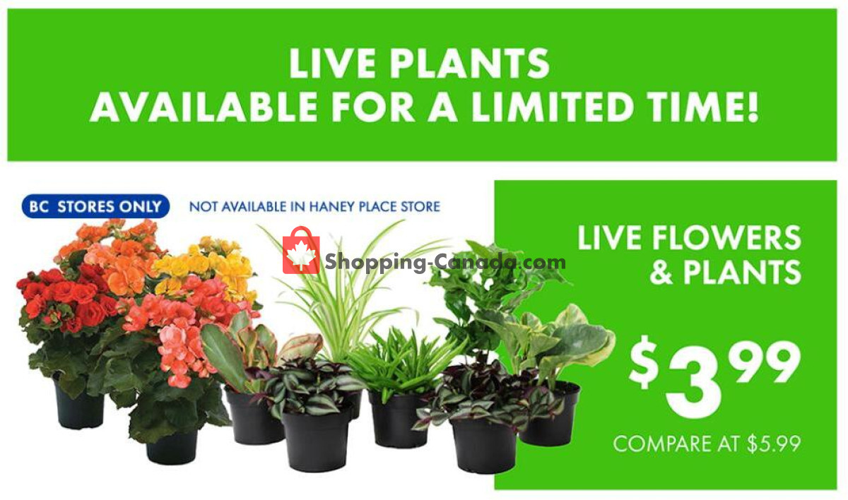 Big Box Outlet Store flyer from Wednesday May 1, 2024 to Monday May 6, 2024 - page 5