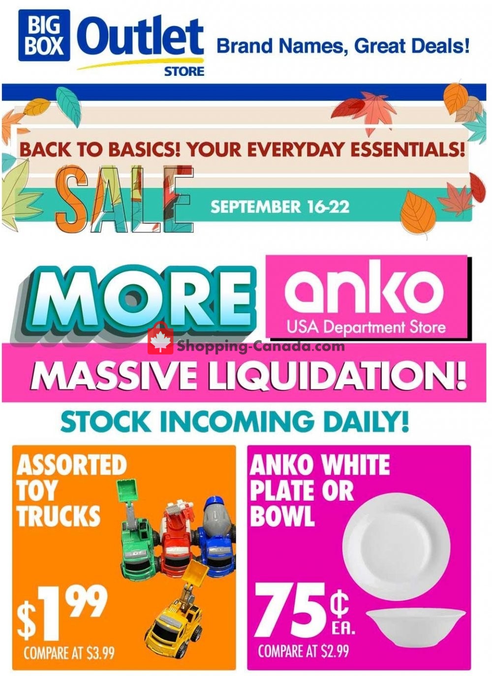 Big Box Outlet Store Canada, flyer (Your Everything Essentials