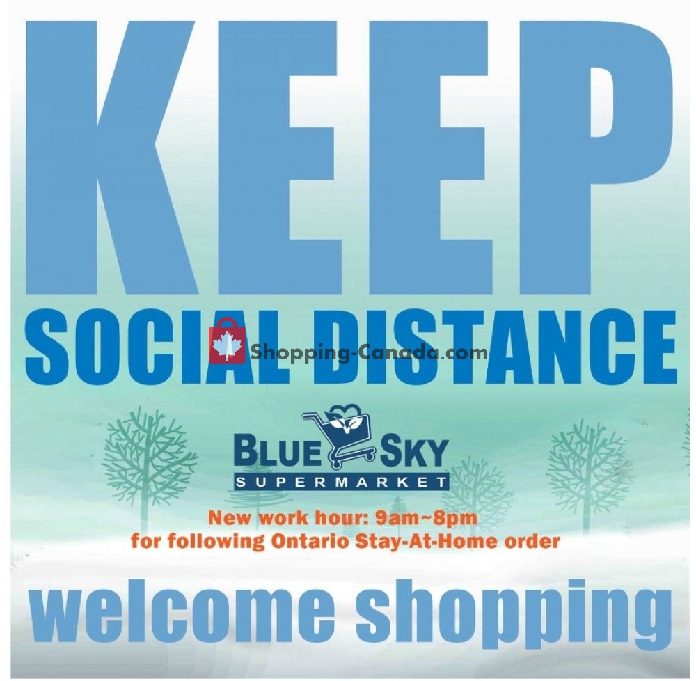 Blue Sky Supermarket flyer from Friday January 22, 2021 to Thursday January 28, 2021 - page 3