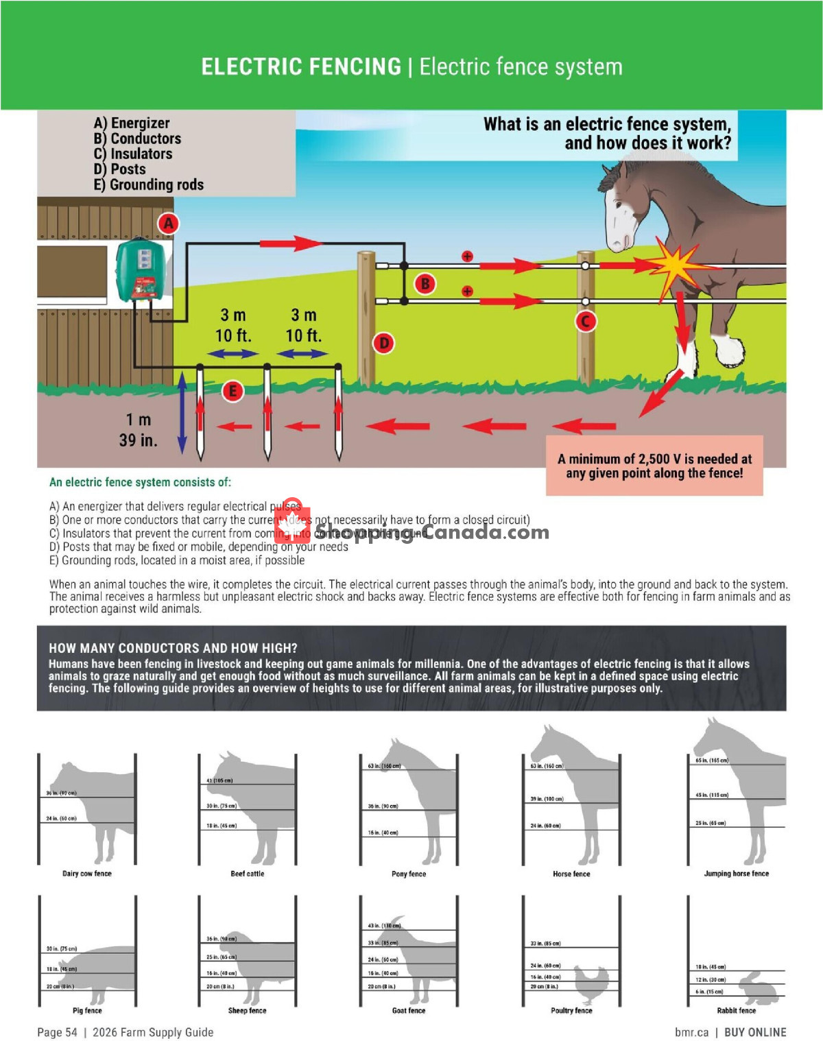 BMR flyer from Friday January 9, 2026 to Thursday December 31, 2026 - page 54