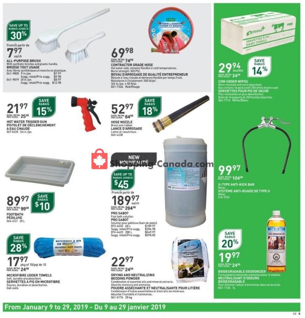 BMR flyer from Wednesday January 9, 2019 to Tuesday January 29, 2019 - page 5