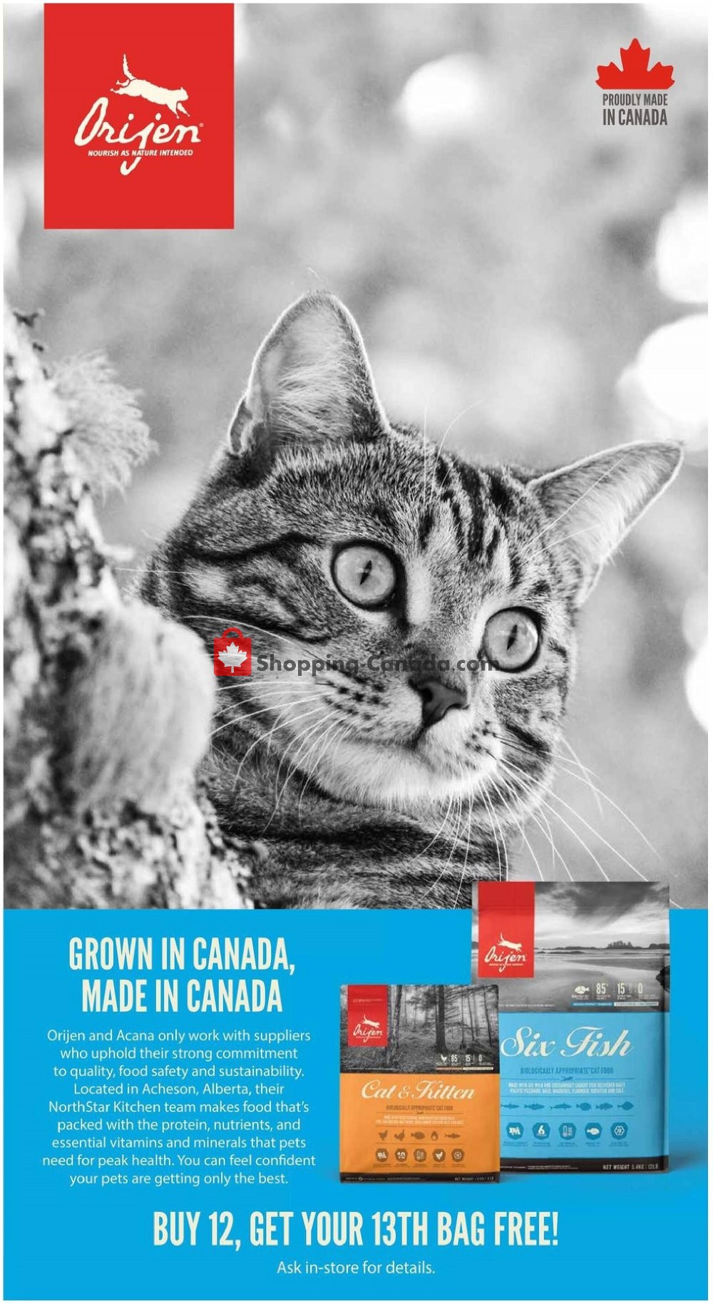 Bosley’s flyer from Monday September 14, 2020 to Wednesday September 30, 2020 - page 13