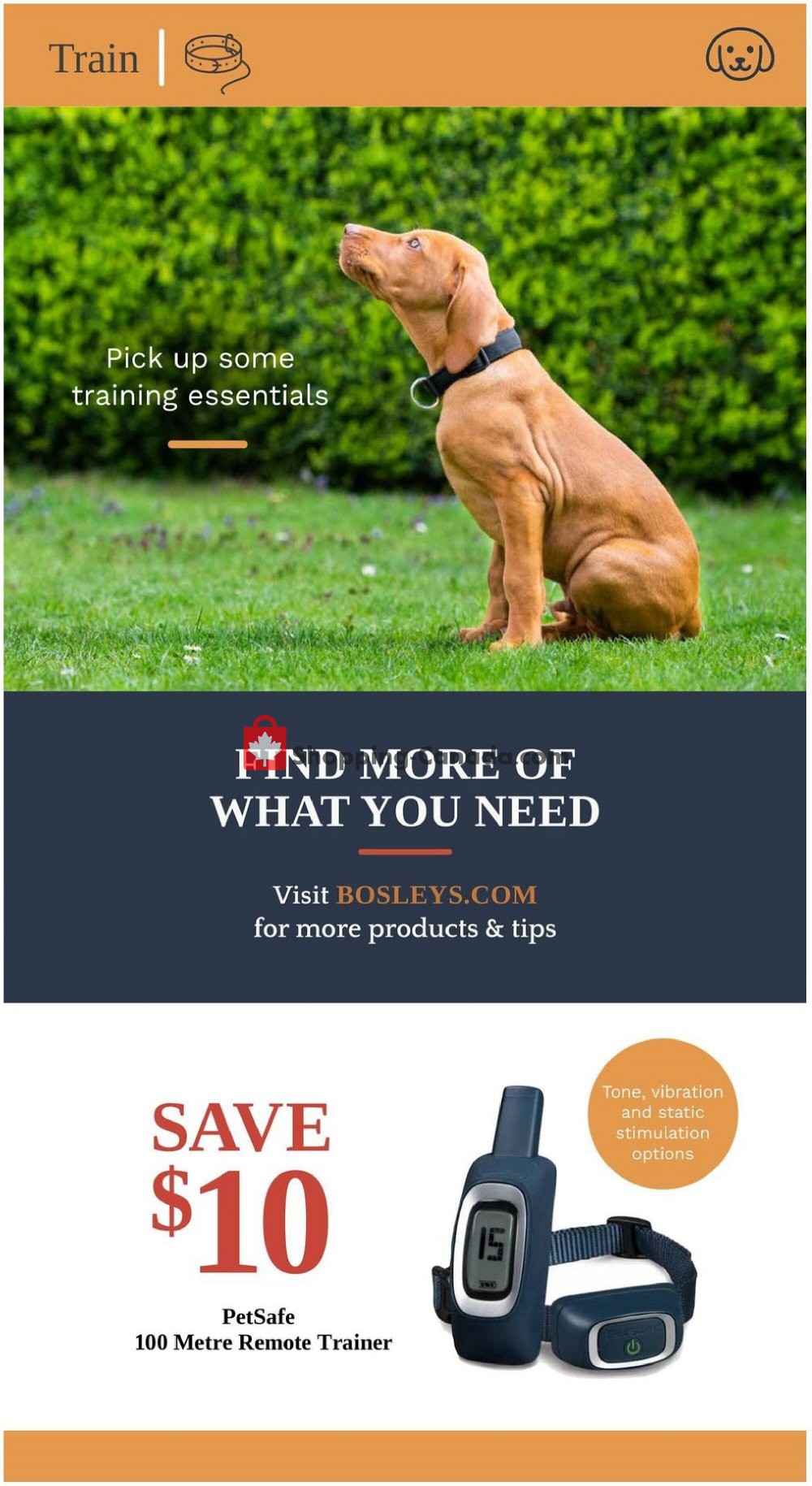 Bosley’s flyer from Monday September 14, 2020 to Wednesday September 30, 2020 - page 8