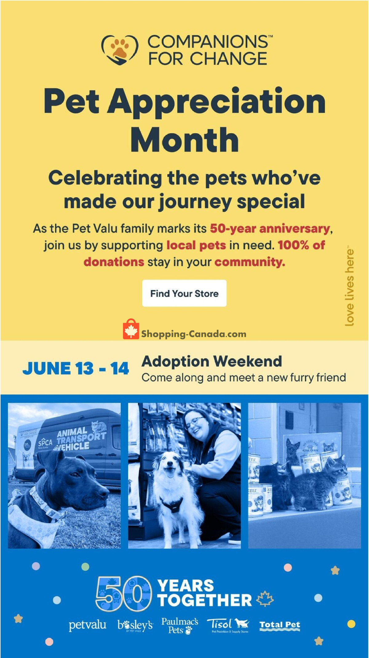 Bosley’s flyer from Thursday May 28, 2026 to Wednesday June 10, 2026 - page 13