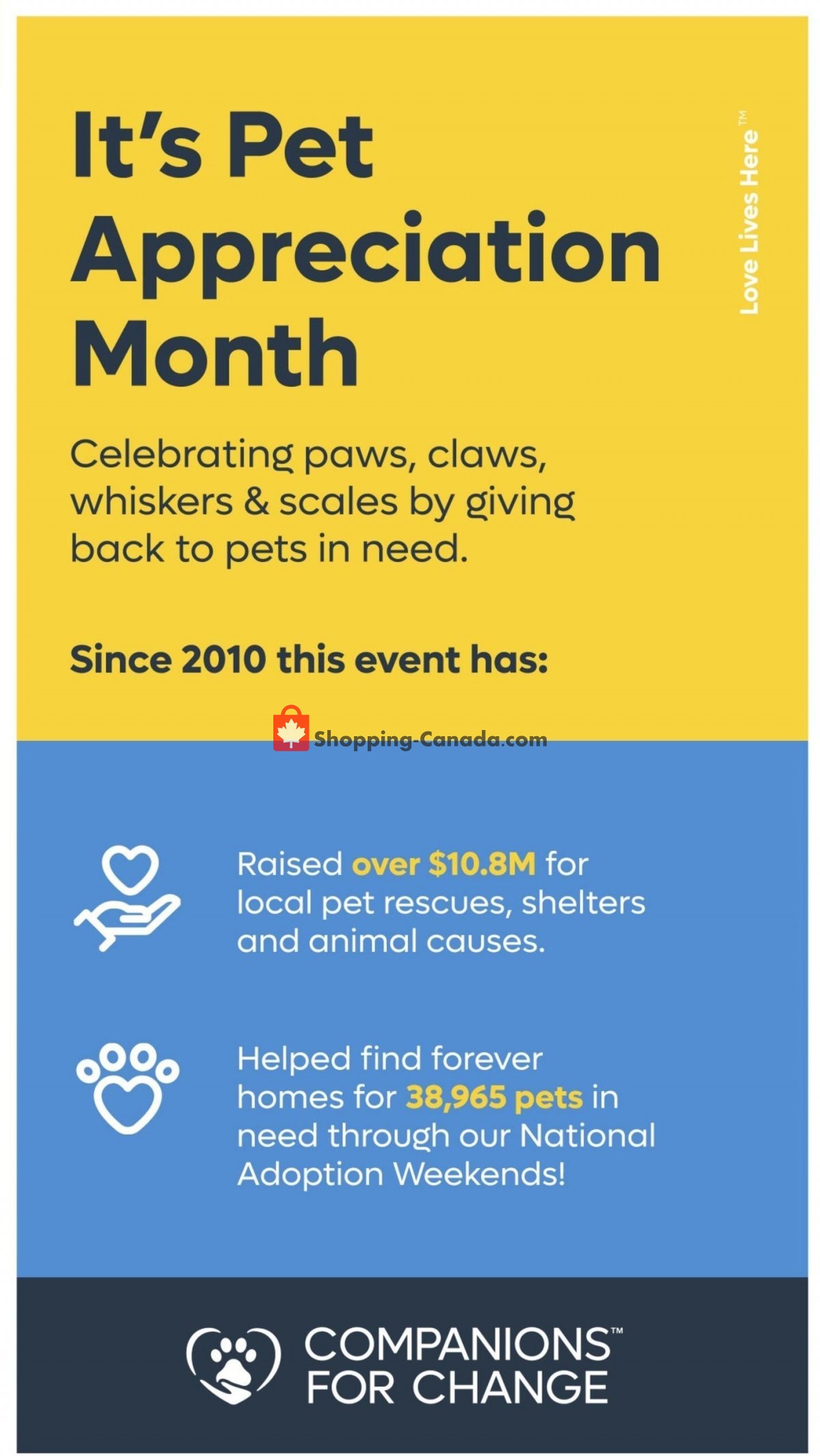 Bosley’s flyer from Thursday June 23, 2022 to Wednesday July 6, 2022 - page 11
