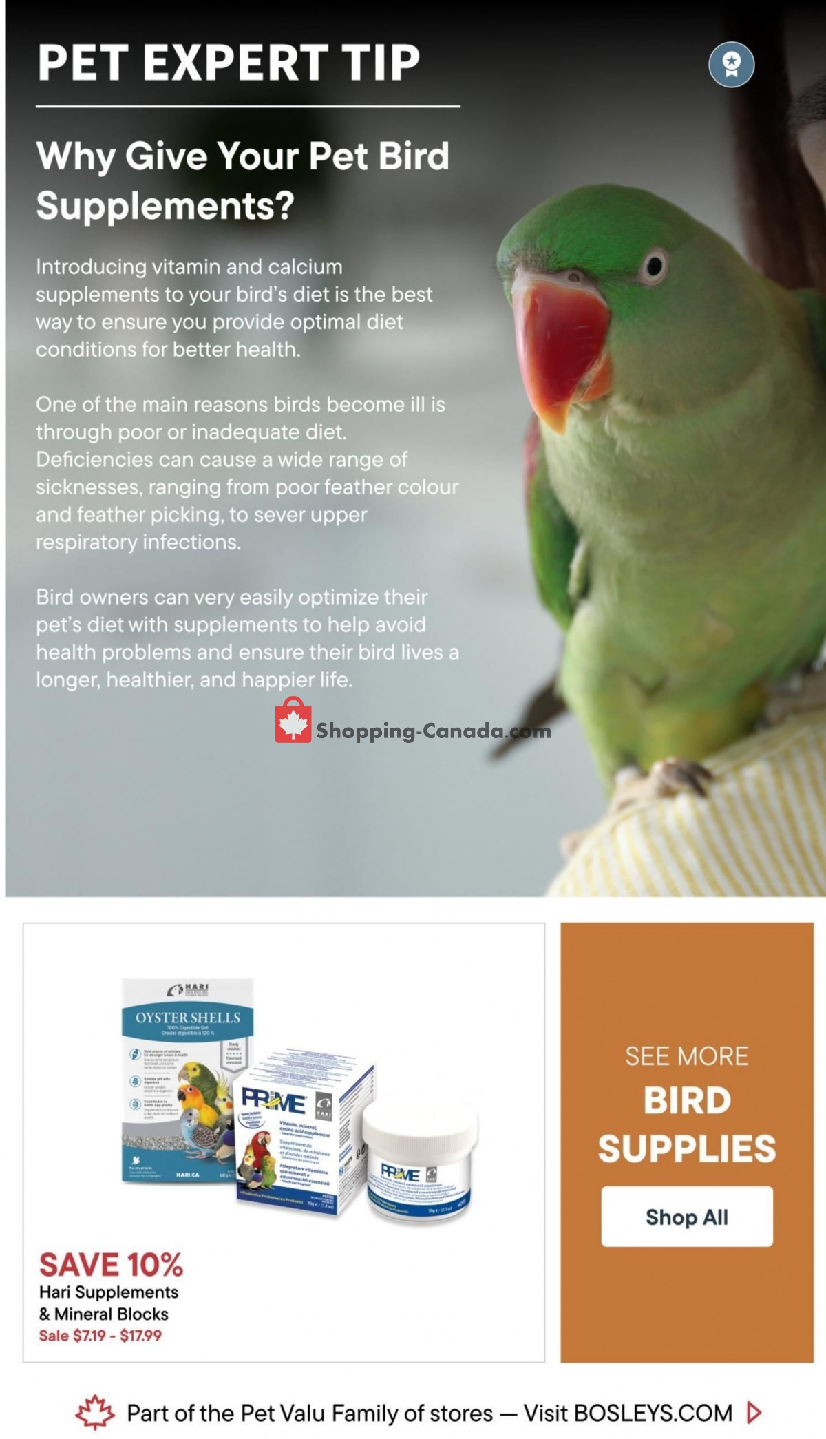 Bosley’s flyer from Thursday June 23, 2022 to Wednesday July 6, 2022 - page 12