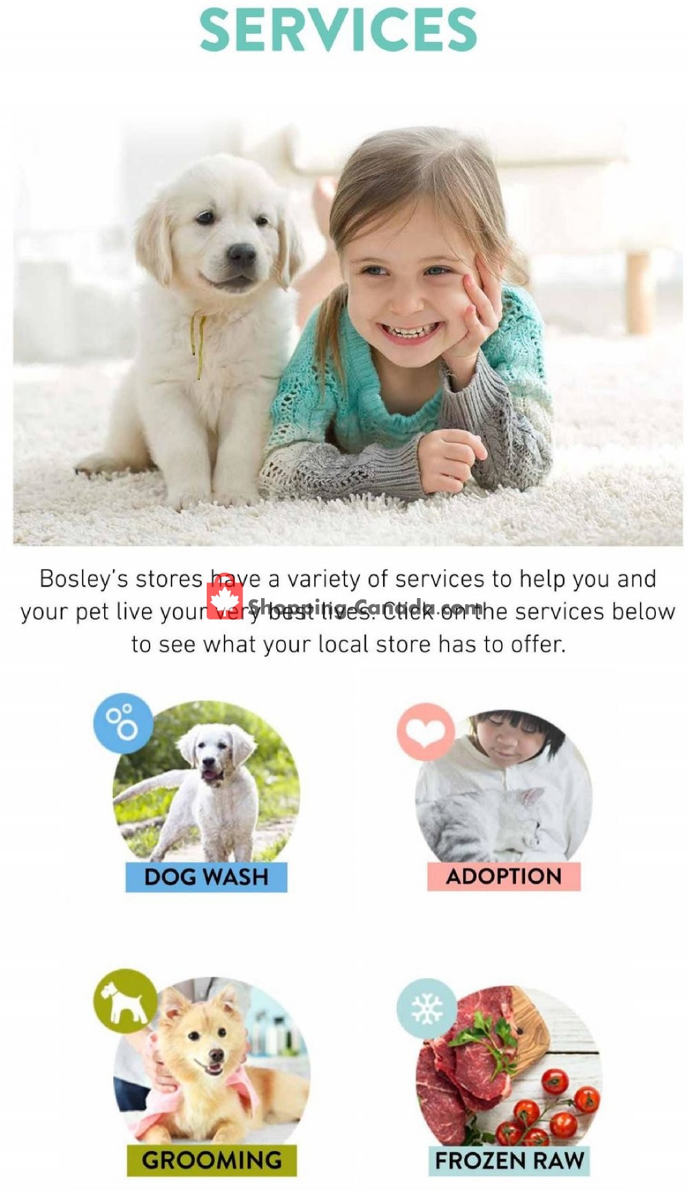 Bosley’s flyer from Thursday October 3, 2019 to Sunday October 13, 2019 - page 21