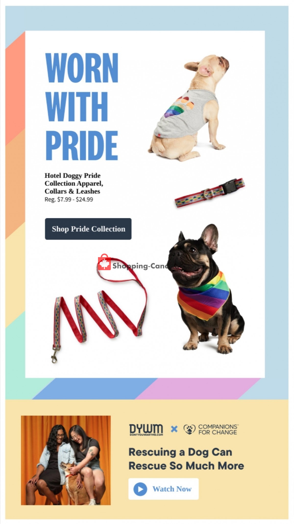 Bosley’s flyer from Thursday June 9, 2022 to Wednesday June 22, 2022 - page 4