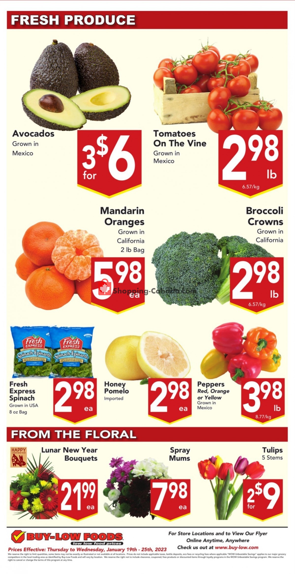 Buy-Low Foods flyer from Thursday January 19, 2023 to Wednesday January 25, 2023 - page 9