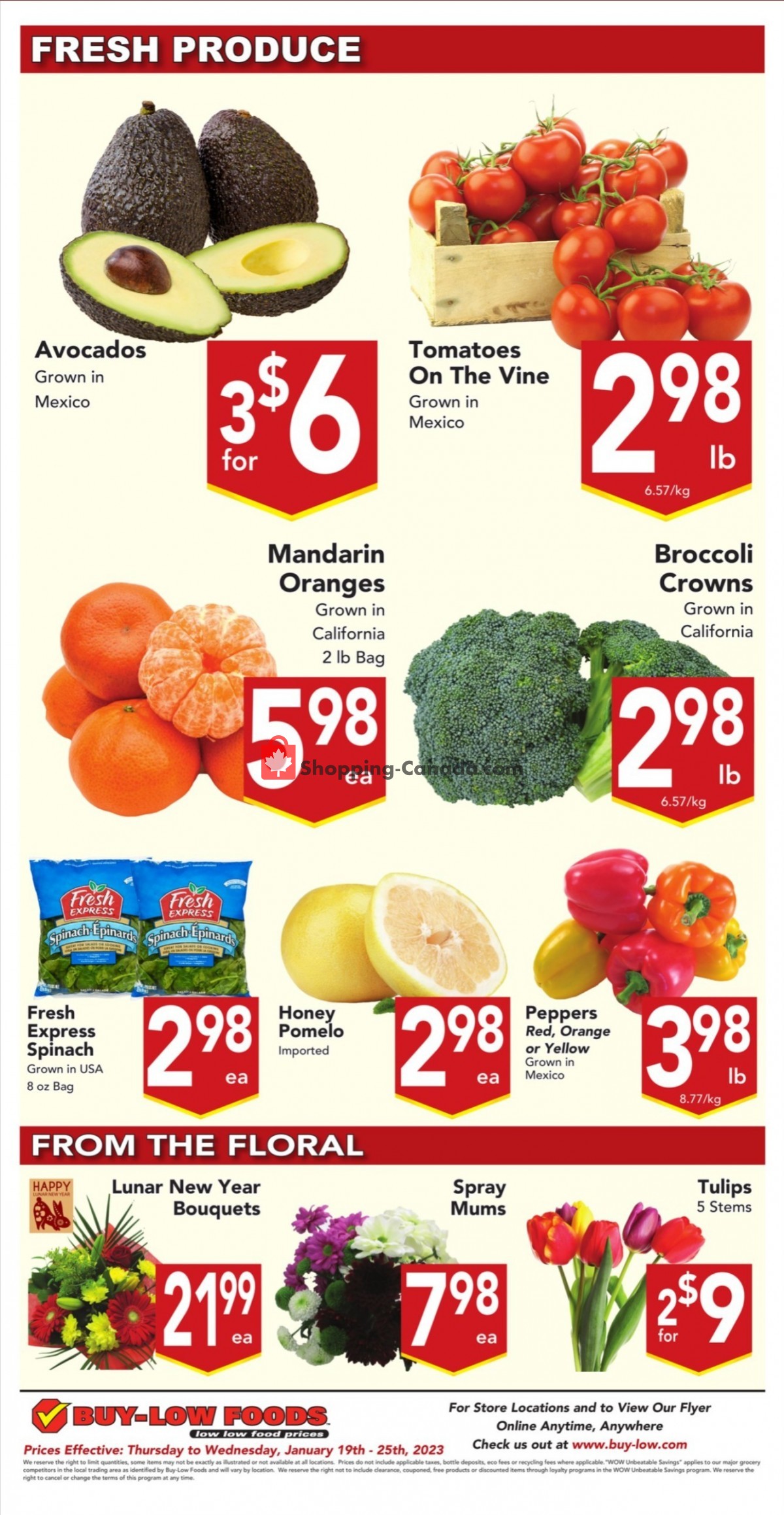 Buy-Low Foods flyer from Thursday January 19, 2023 to Wednesday January 25, 2023 - page 9