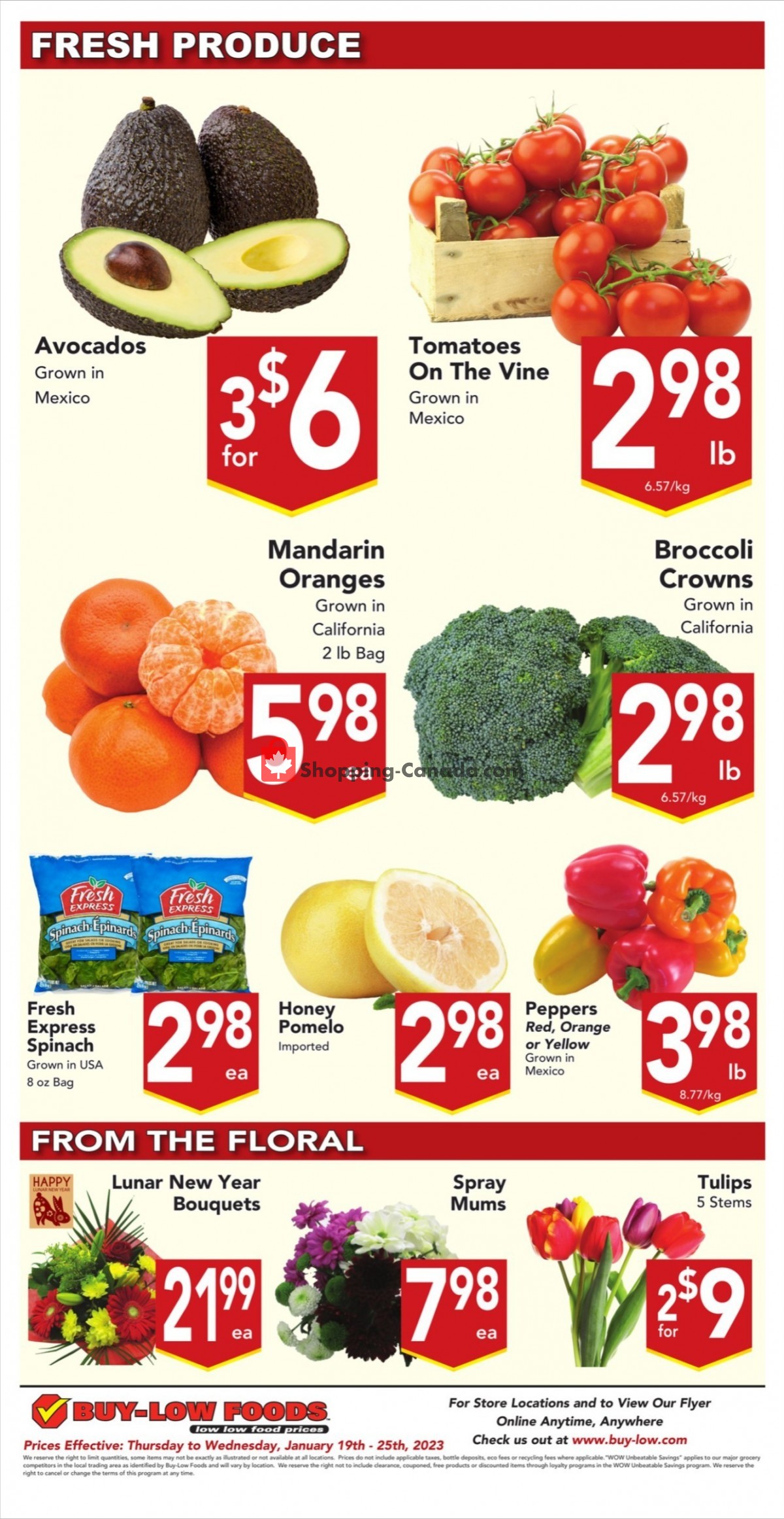 Buy-Low Foods flyer from Thursday January 19, 2023 to Wednesday January 25, 2023 - page 9