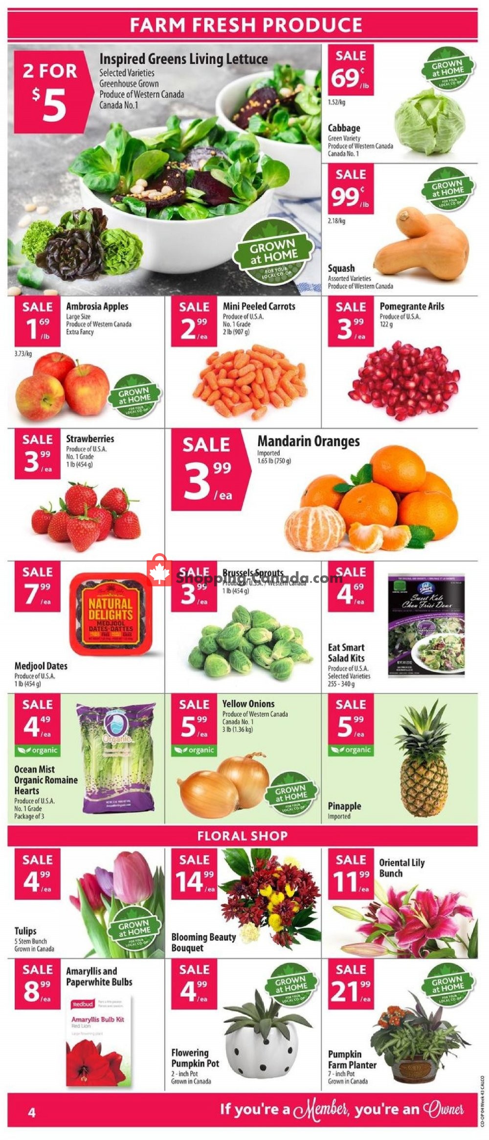 Calgary Co-op flyer from Thursday October 18, 2018 to Wednesday October 24, 2018 - page 4