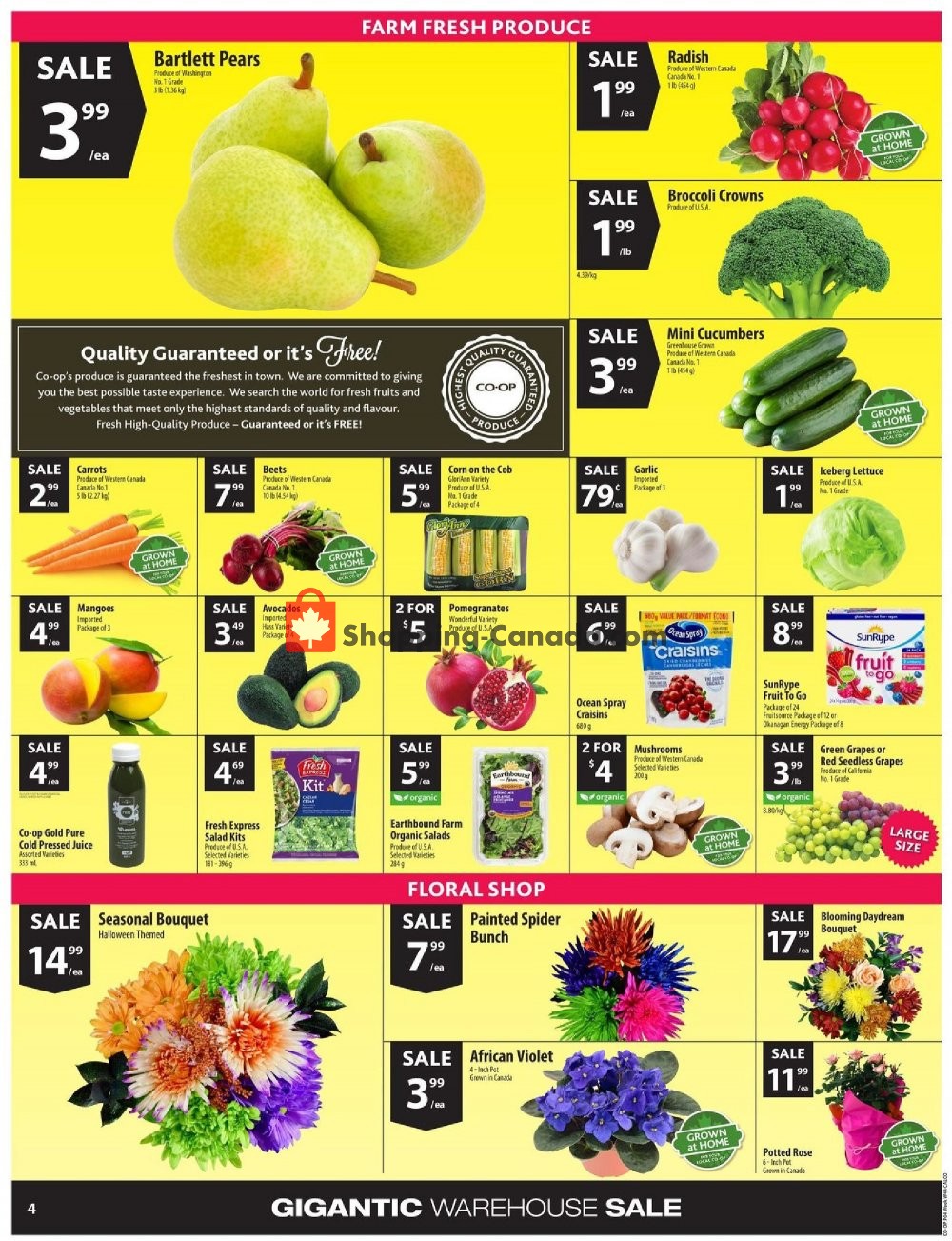 Calgary Co-op flyer from Thursday October 25, 2018 to Wednesday October 31, 2018 - page 5
