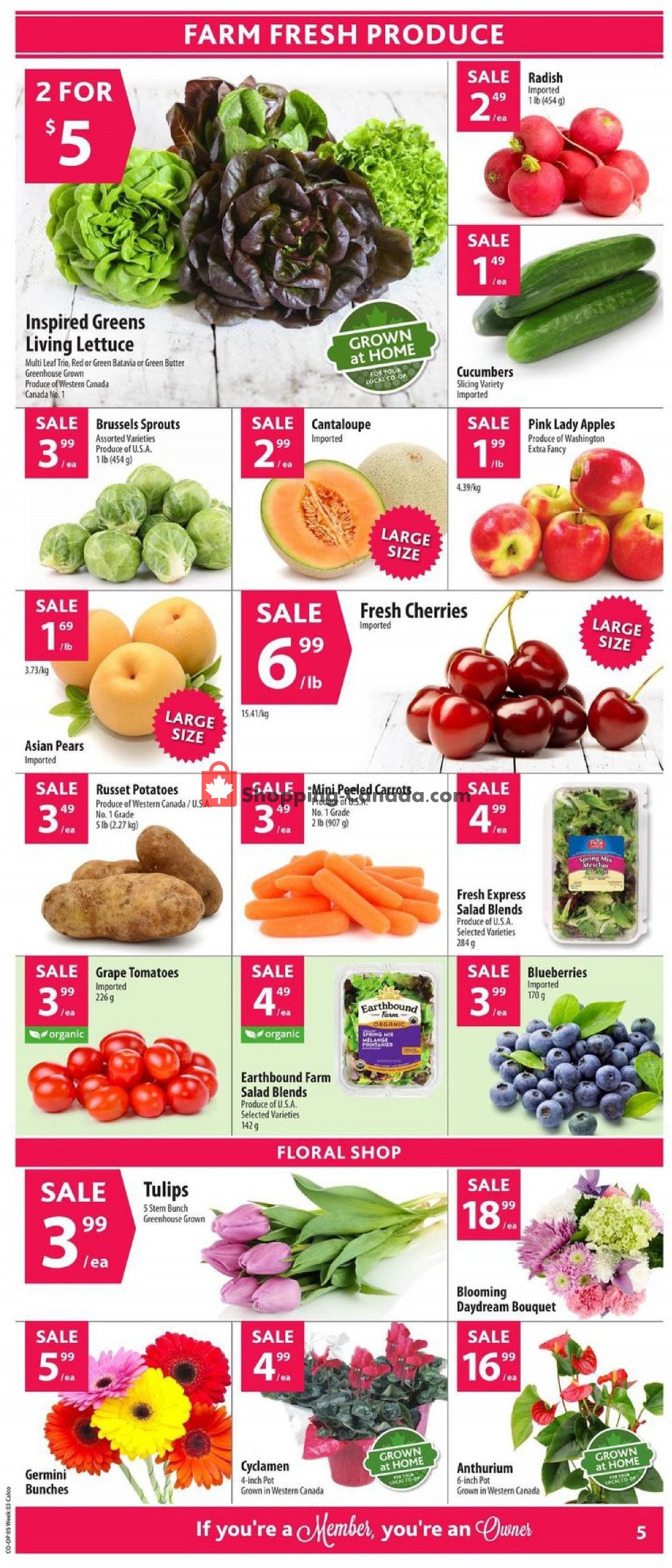 Calgary Co-op flyer from Thursday January 16, 2020 to Wednesday January 22, 2020 - page 6