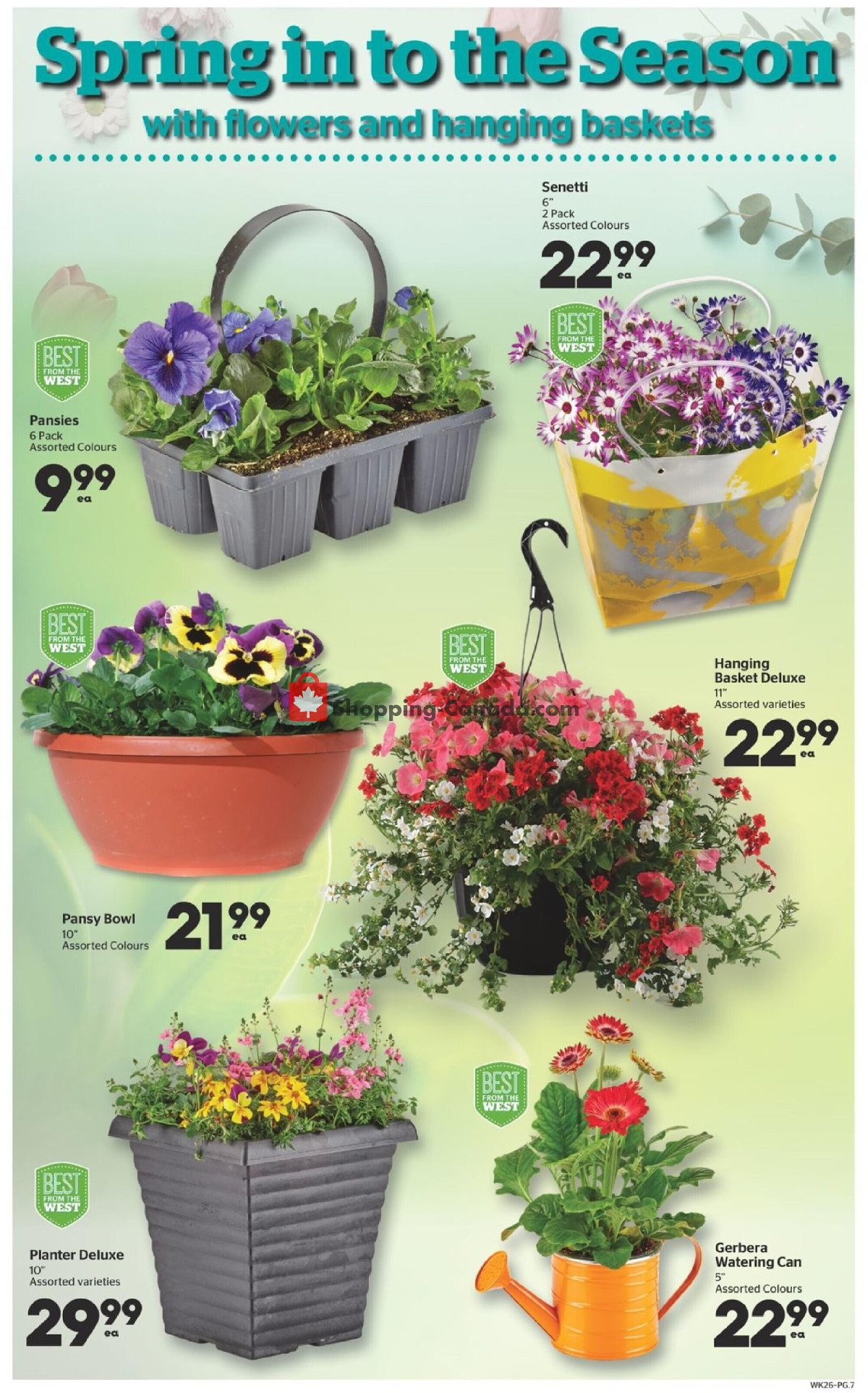 Calgary Co-op flyer from Thursday April 25, 2024 to Wednesday May 1, 2024 - page 7