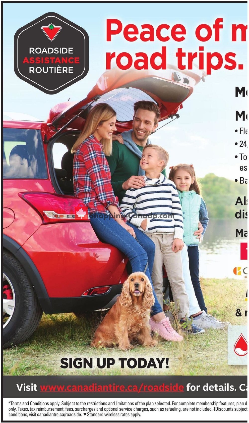 Canadian Tire flyer from Thursday May 16, 2019 to Thursday May 23, 2019 - page 29