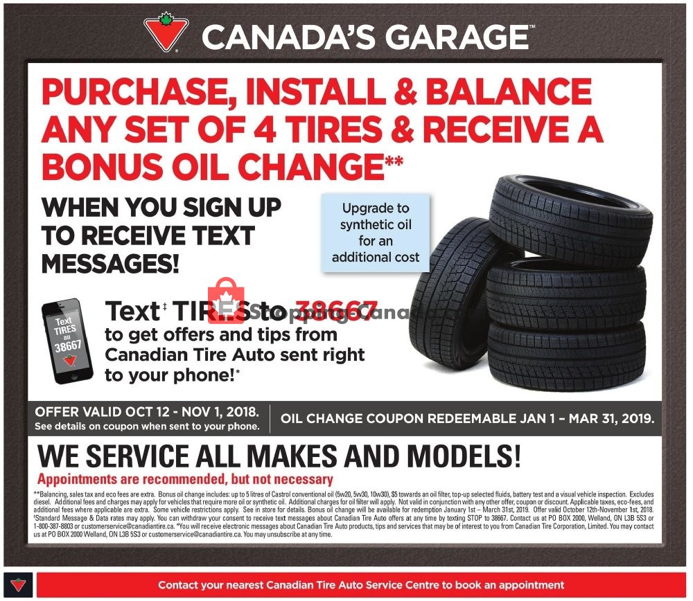 Canadian Tire flyer from Friday October 12, 2018 to Thursday October 18, 2018 - page 41