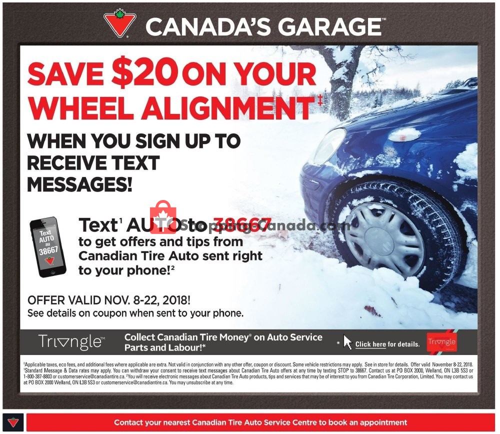 Canadian Tire Canada, flyer (The Big Pre Black Friday Sale) November