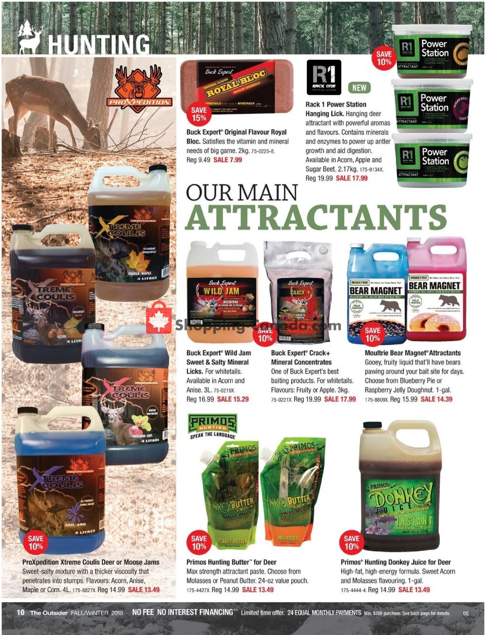 Canadian Tire flyer from Friday September 21, 2018 to Thursday October 11, 2018 - page 10