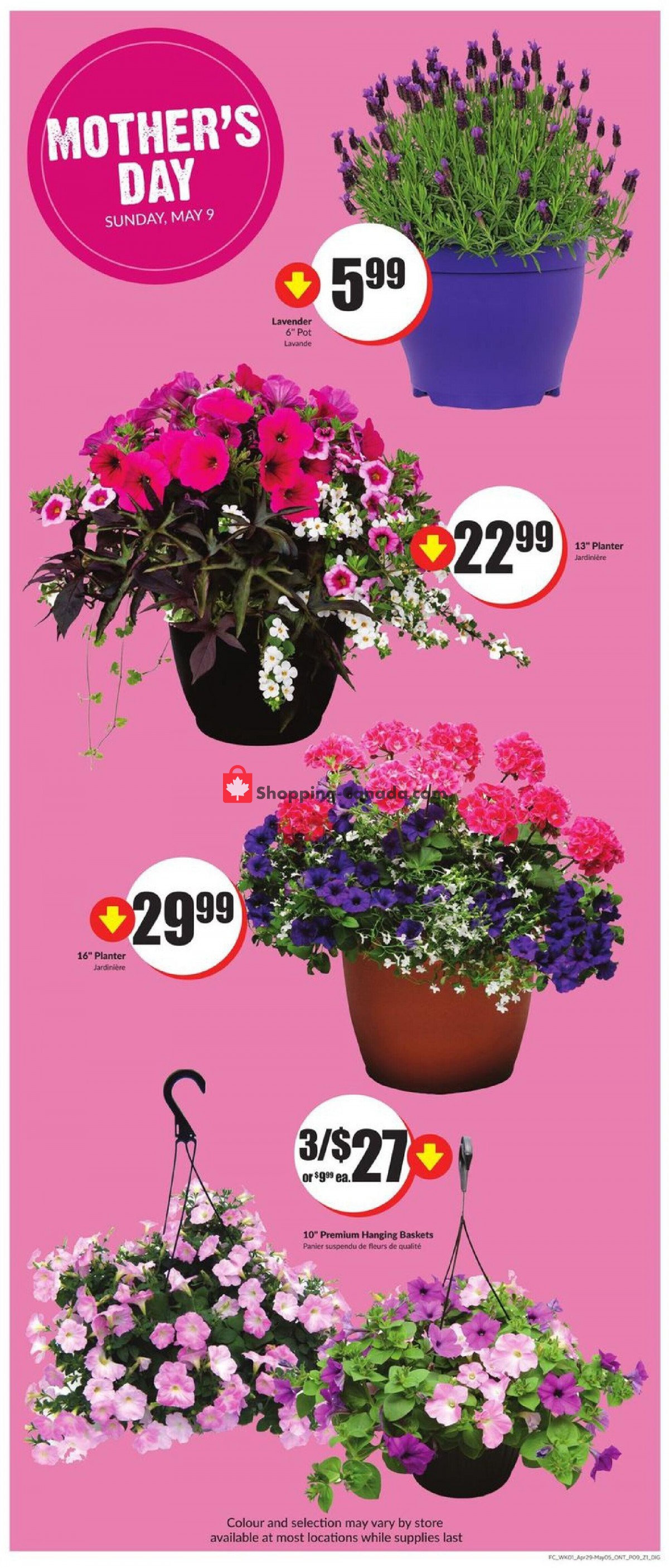 Chalo FreshCo flyer from Thursday April 29, 2021 to Wednesday May 5, 2021 - page 13