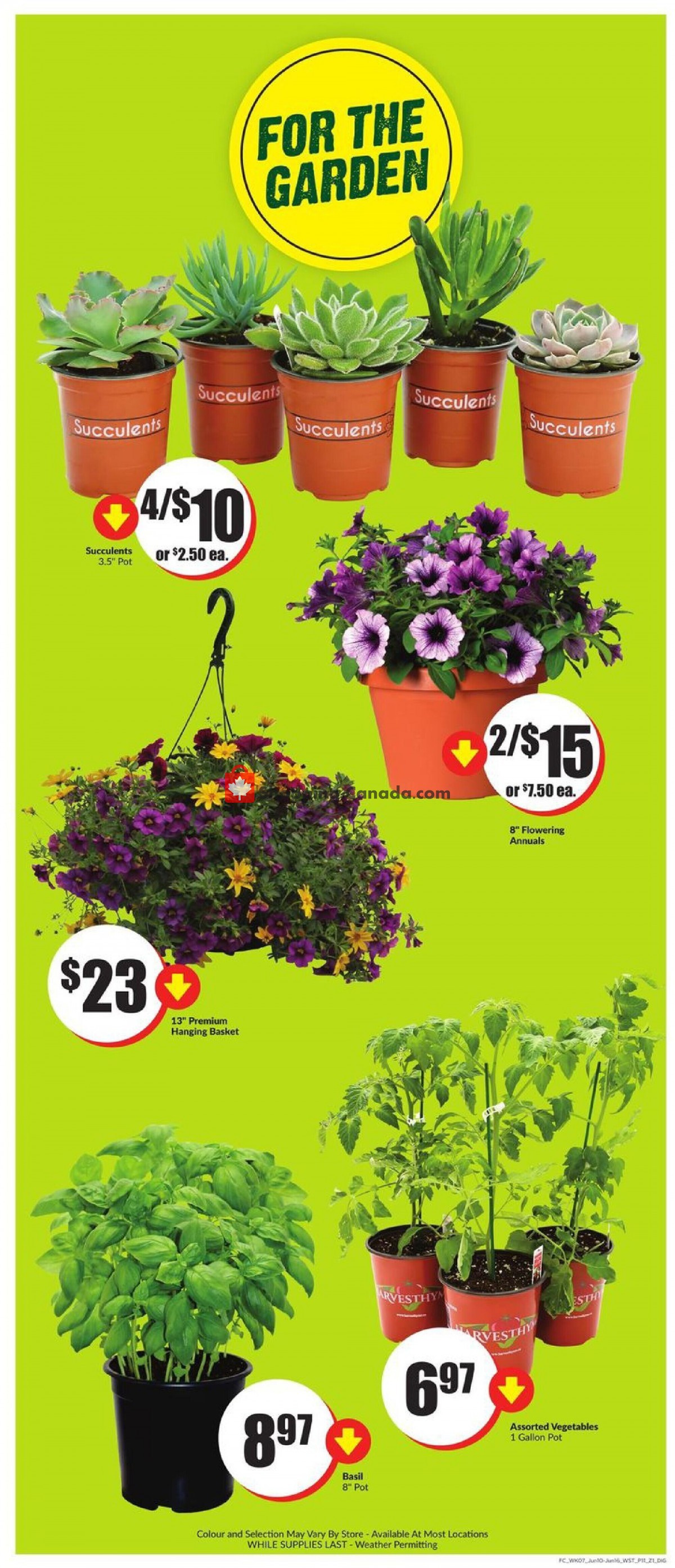 Chalo FreshCo flyer from Thursday June 10, 2021 to Wednesday June 16, 2021 - page 12