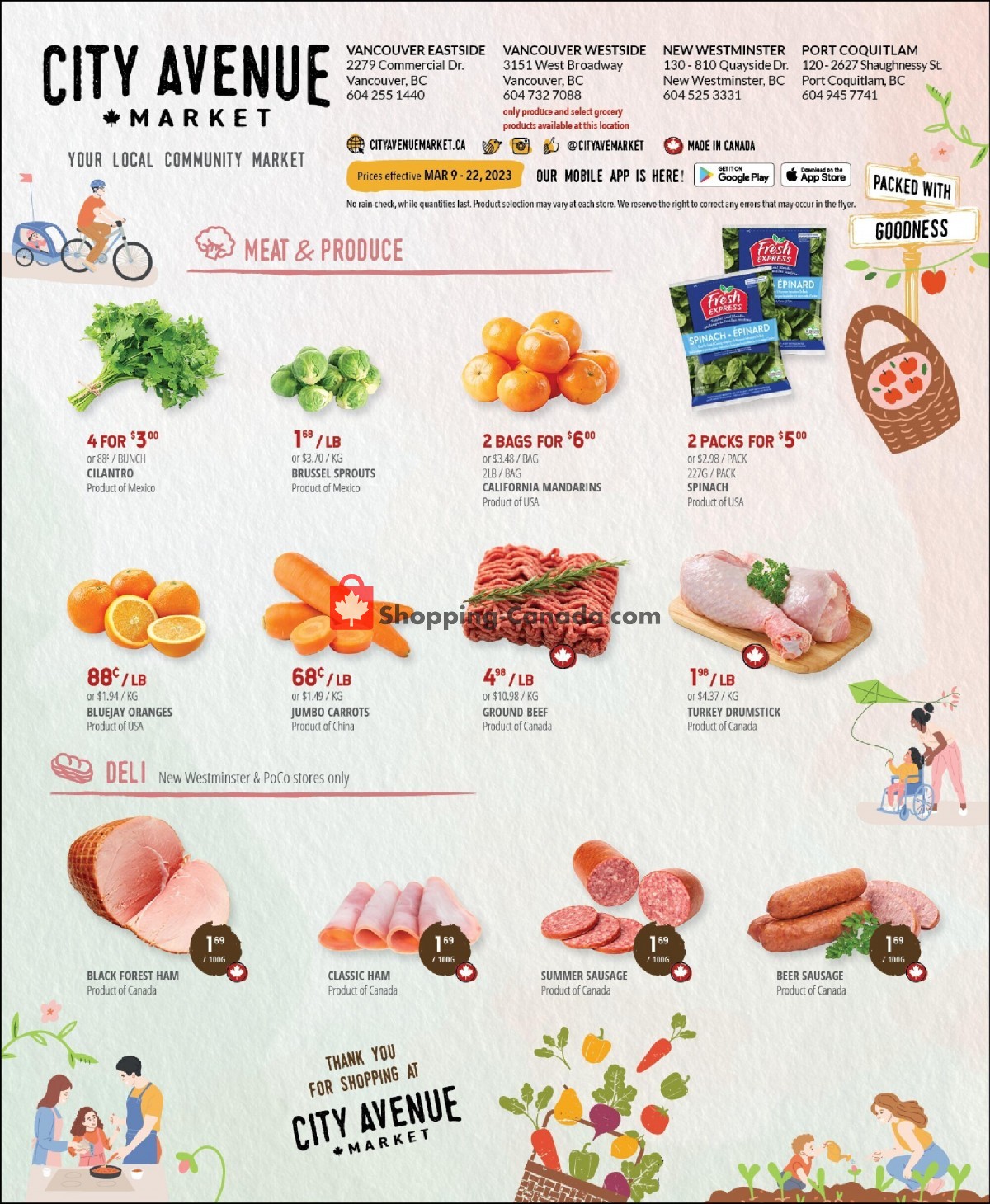 City Avenue Market flyer from Thursday March 9, 2023 to Wednesday March 22, 2023 - page 3