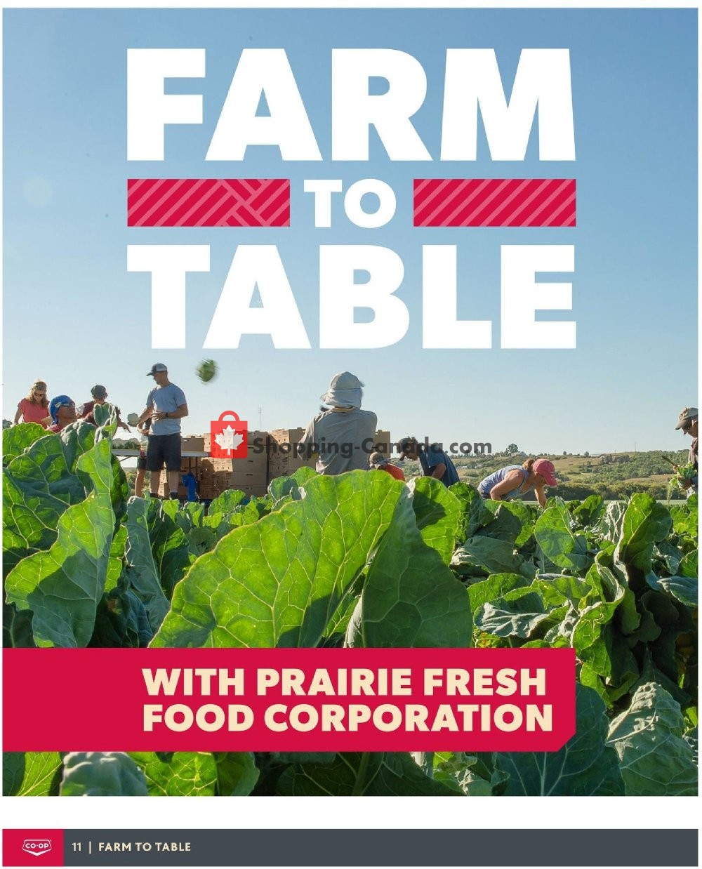 Co-op flyer from Thursday May 21, 2020 to Friday August 20, 2021 - page 12