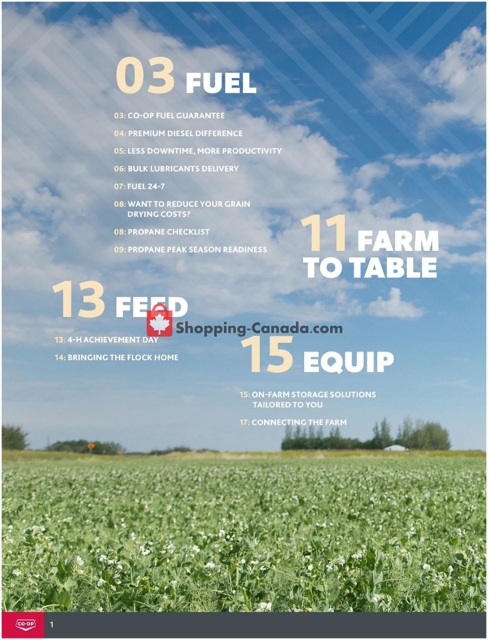 Co-op flyer from Thursday May 21, 2020 to Friday August 20, 2021 - page 2