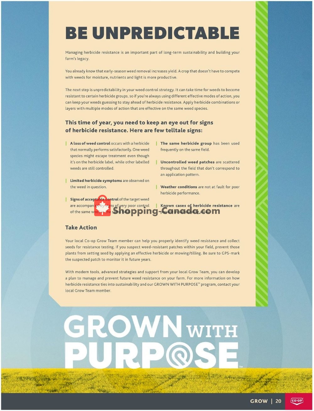 Co-op flyer from Thursday May 21, 2020 to Friday August 20, 2021 - page 21
