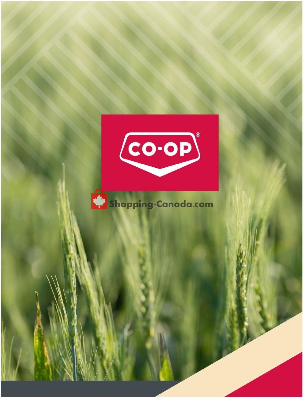 Co-op flyer from Thursday May 21, 2020 to Friday August 20, 2021 - page 24
