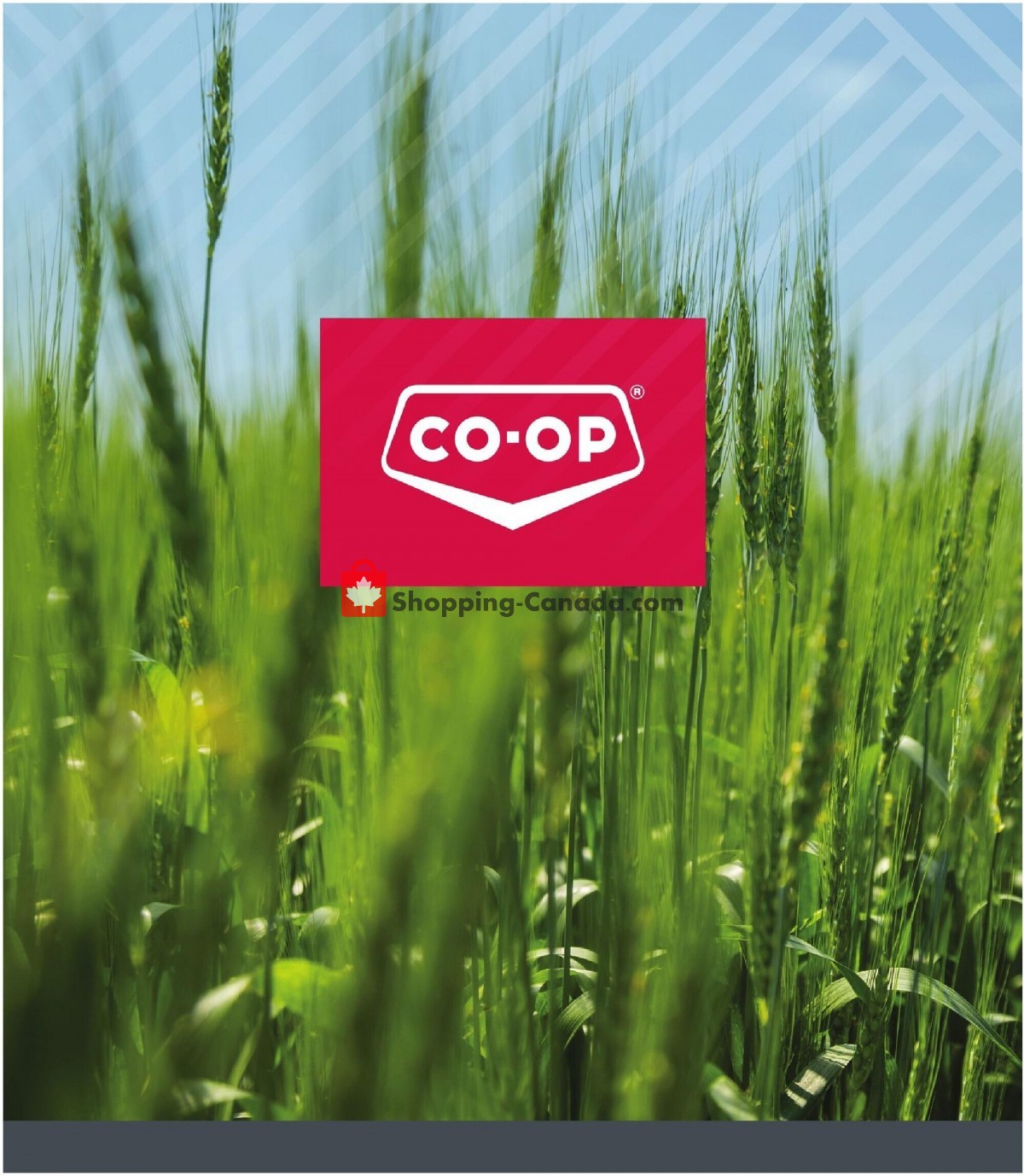Co-op flyer from Thursday May 19, 2022 to Wednesday August 24, 2022 - page 24