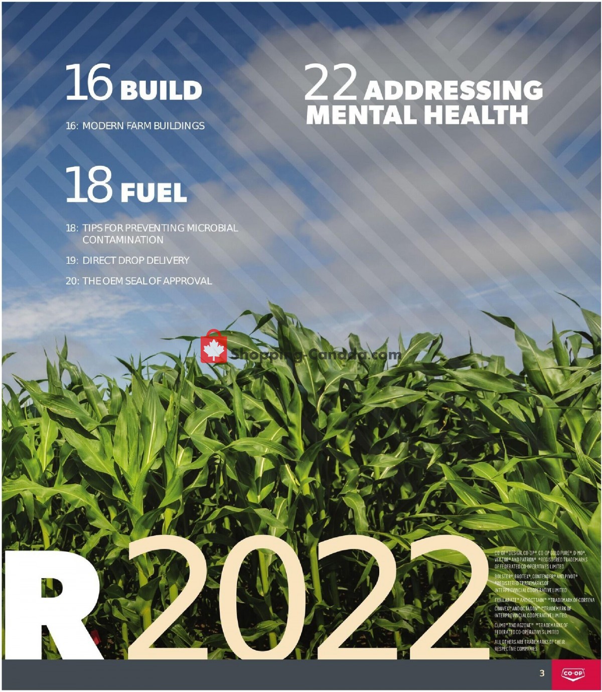 Co-op flyer from Thursday May 19, 2022 to Wednesday August 24, 2022 - page 3