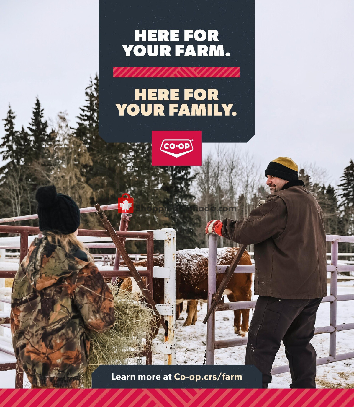 Co-op flyer from Thursday November 9, 2023 to Wednesday November 20, 2024 - page 4