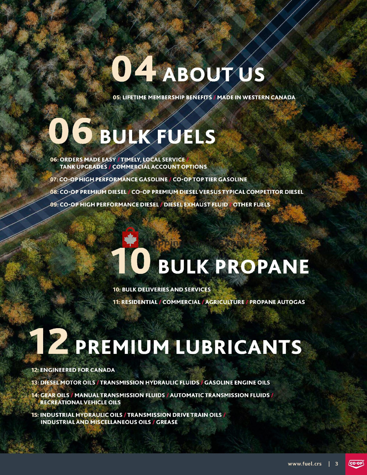 Co-op flyer from Thursday March 7, 2024 to Saturday February 1, 2025 - page 3