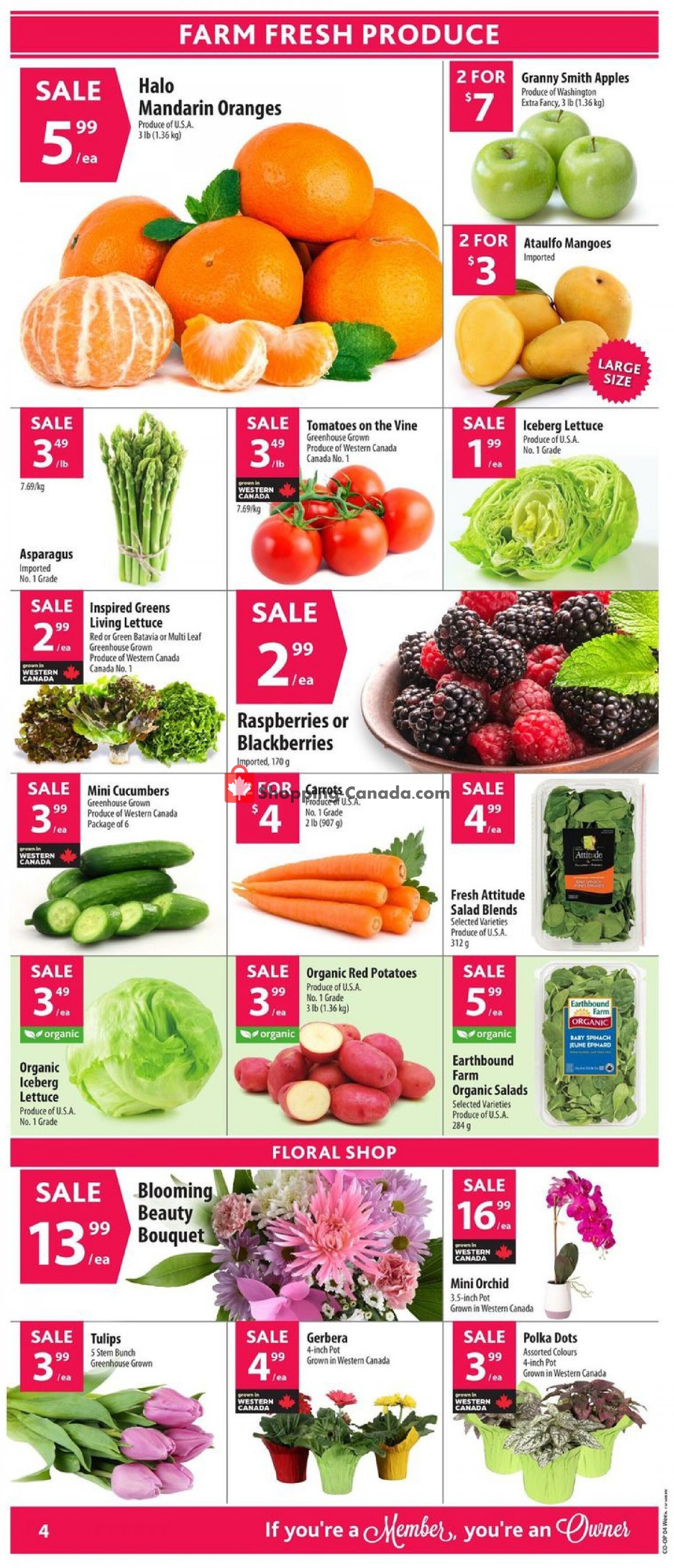 Co-op flyer from Thursday March 4, 2021 to Wednesday March 10, 2021 - page 5